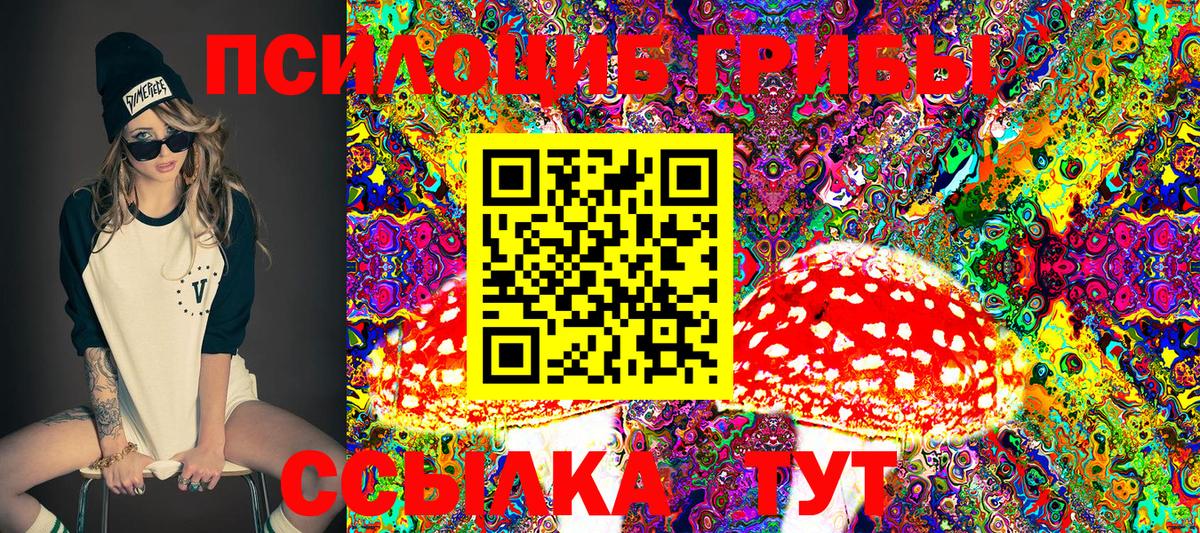 Галлюциногенные грибы Psilocybe  Галлюциногенные грибы мицелий  Лабытнанги  Вход с VPN 